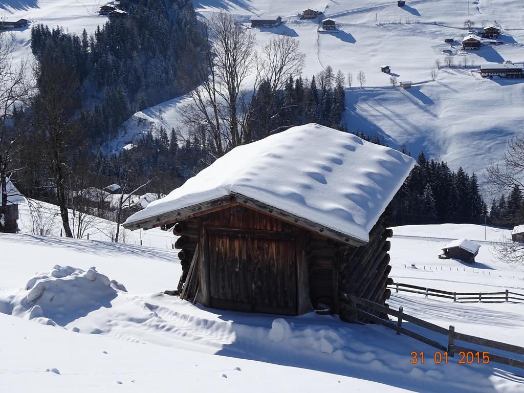 Anna'S Appartement Alpbach Bagian luar foto