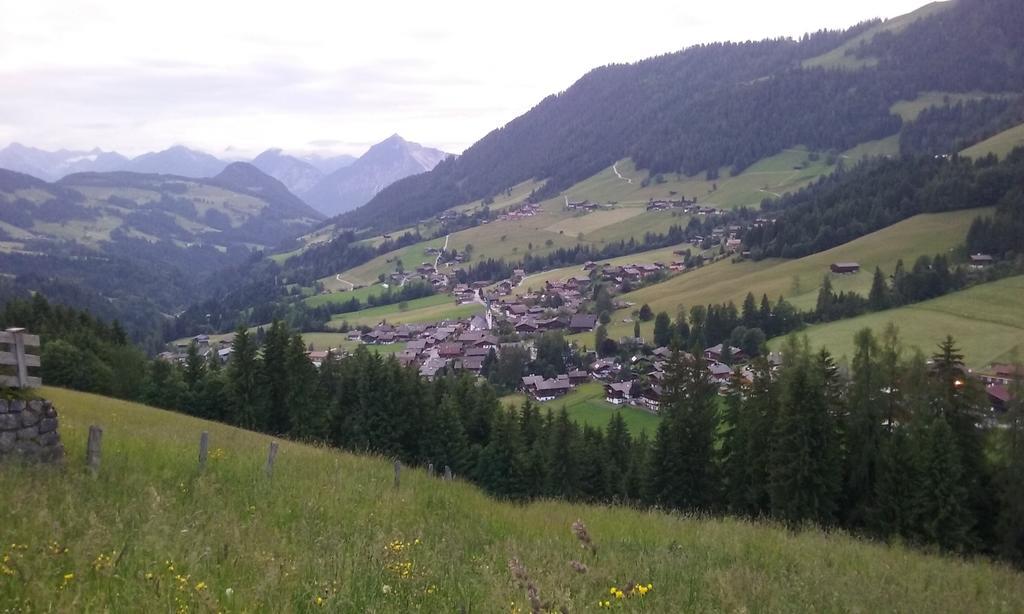 Anna'S Appartement Alpbach Bagian luar foto