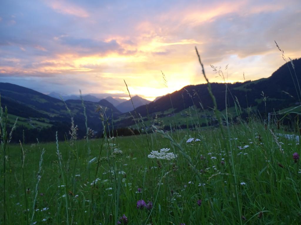 Anna'S Appartement Alpbach Bagian luar foto