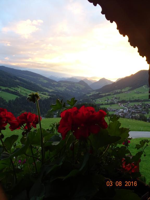 Anna'S Appartement Alpbach Bagian luar foto