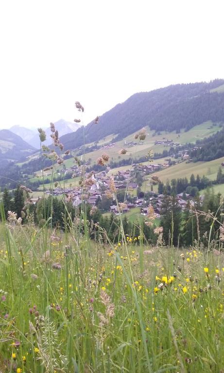 Anna'S Appartement Alpbach Bagian luar foto